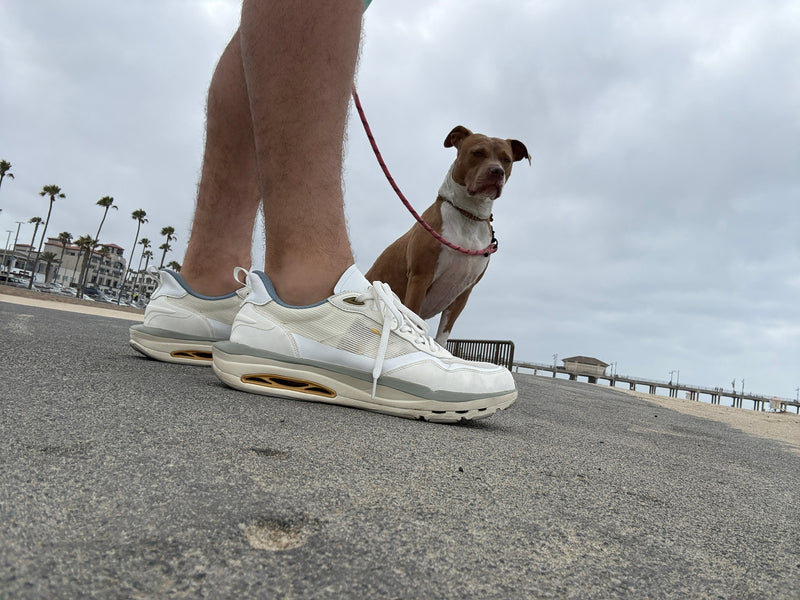 Best everyday travel sneakers with breathable support – CDNCE FRQNT Flyers in motion